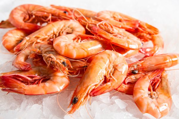 Wholesale Frozen Prawns Suppliers